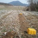 현희농장 이미지