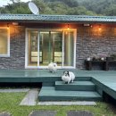 스테이 꿈의대화 이미지