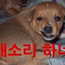 :다