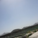 한동태양광발전소 이미지