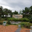 새만금정육점 | 하늘이랑 깨끗하게 새단장한 포항 구룡포전통시장 방문후기