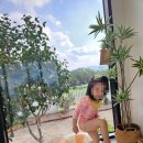 란장식 | 아가방 란레몬수영복 구매 후기, 아기 수영복 추천