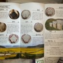 여비농장 이미지