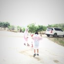 오가닉빅마트운암점 이미지