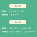 바른반찬 | [화성/동탄] 수원 아기 반찬 <바른아기반찬> 새벽 배송 후기