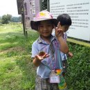 사랑나무유치원 이미지