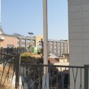 서해삼육초등학교 이미지