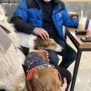 마오네 문덕점 이미지