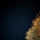 산수민박 | 충북 충주 겨울 감성 캠핑 추천 노지 차박 장소, 삼탄유원지 : 수도권 캠핑장, 야경, 별관측, 별보기...
