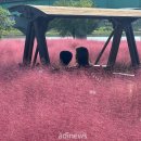 낙동강변 이미지