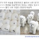 소식다료 이미지