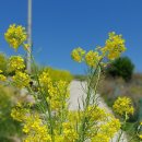 낭도 꿈뜰펜션 이미지