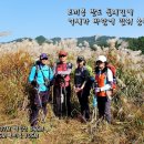 지도로35번길 티스토리