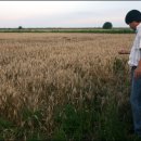 꼬이꼬이 이미지