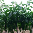 모악농장 이미지