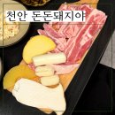 씨유천안두정대우2차점 | 천안 고기집, 두정동 삼겹살 맛집 돈돈돼지야