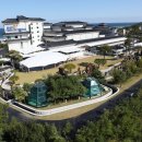 웰니스9 이미지