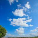 금호강1 이미지