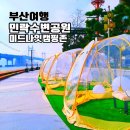 민락해변공원 공영주차장 부스 | 광안리 12월 놀거리 민락수변공원 빛축제 캠핑 텐트 이용방법 체험 시간