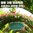 면목동-163 | 중랑 서울 장미축제 2026 기본정보 초대가수 라인업 박서진 이은미 주차 총정리