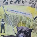 개들의성 이미지