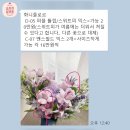 플로르초이스 이미지