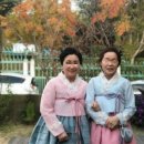 어찌나고운지미용실