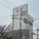 해뜨르다 | 평택 고덕 베이커리 대형카페 해뜨르다 내돈내산 방문후기