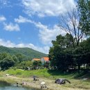 옥화리 | 청주 근교 무료 노지캠핑 취사 가능 계곡 옥화대! 천렵도 즐기고 힐링하고 왔어요!