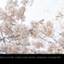 부귀리 마을회관 이미지