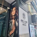레이어드컷 맛집 충정로 서대문역 미용실 살롱 드 수풀림 솔직 후기