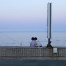 몽실민박 이미지