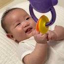 정통삼계탕 이미지