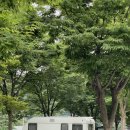 [충북/단양] 카라반으로 떠나는 소선암 오토캠핑장, 계곡있는 이곳! 여름휴가 너무 좋아