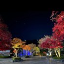 소노문 단양 이미지