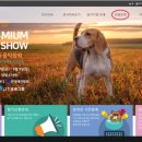 더펫프리미엄 이미지