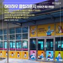 하이원펫클럽 이미지