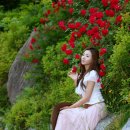 민서희 카카오 검색결과