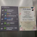 시장수퍼 | 양평 정형외과 고영석정형외과, 체외충격파와 물리치료 받아본 후기