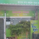 엘샤론 이미지