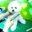 애개 하우스 이미지