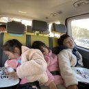 한국체대블랙벨트 이미지