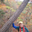 용문사 일주문 이미지