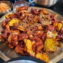 쭈꾸쭈꾸미 이미지