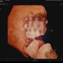 웰하이여성아동병원 이미지