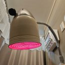 물결한의원 | 안양 범계역 다이어트 한의원 비만침 후기(다이어트 D+7)