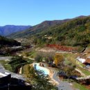 비학산자연휴양림 이미지