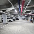 참좋은동물병원(출장진료전문 동물병원) | 불당동동물병원 " 처음동물병원 "에서 쪼꼬미첫검진했어요