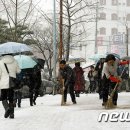 삼성화재앞 인도 이미지