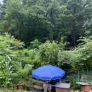 지장산 큰골 계곡 민박 이미지